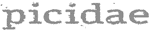 http://www.picidae.net